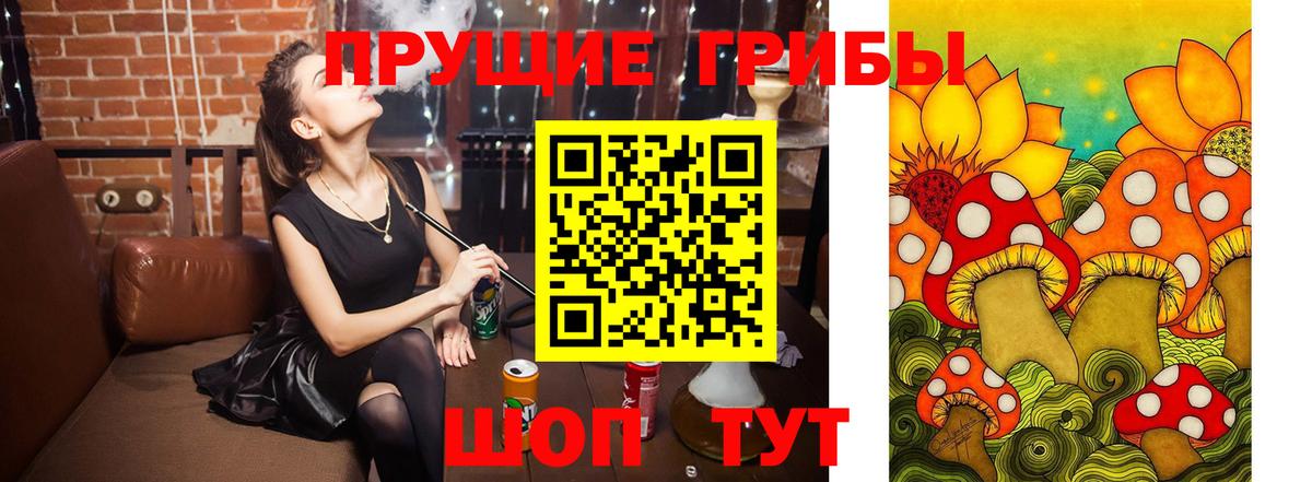 Псилоцибиновые грибы MAGIC MUSHROOMS  Вход с VPN  даркнет сайт  Галлюциногенные грибы прущие грибы  Люберцы 